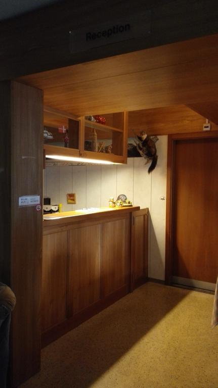 Hotel Frohsinn Erstfeld Extérieur photo